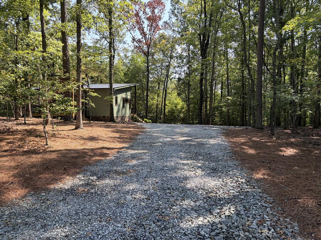 435143 Mineral Bluff Active