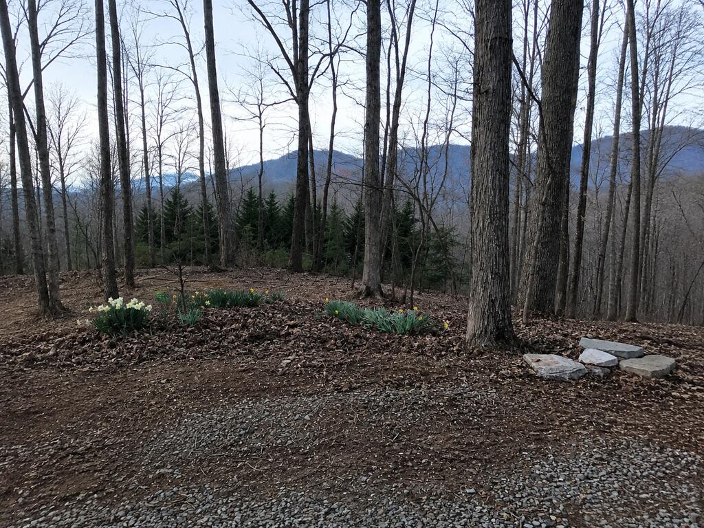 435148 Ellijay Active
