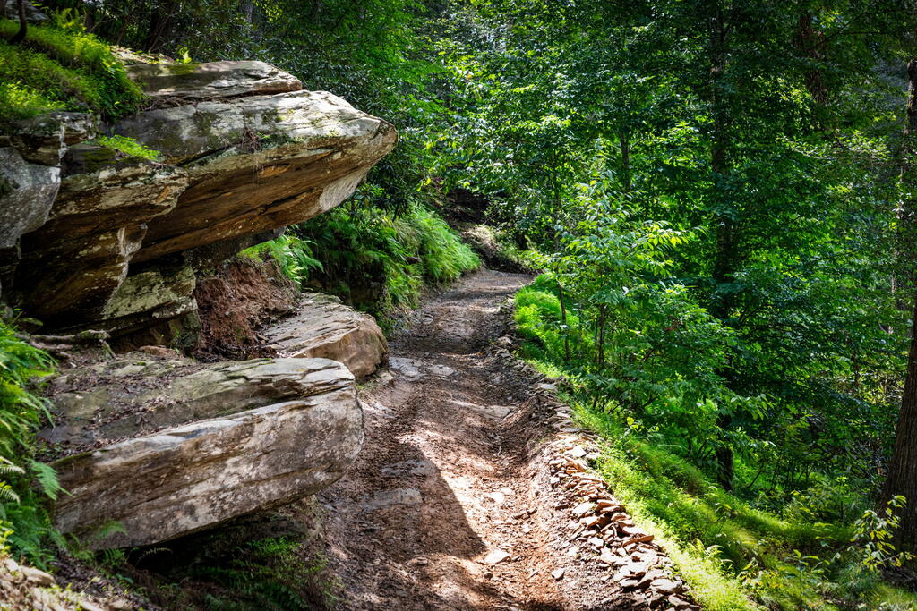 435172 Ellijay Active