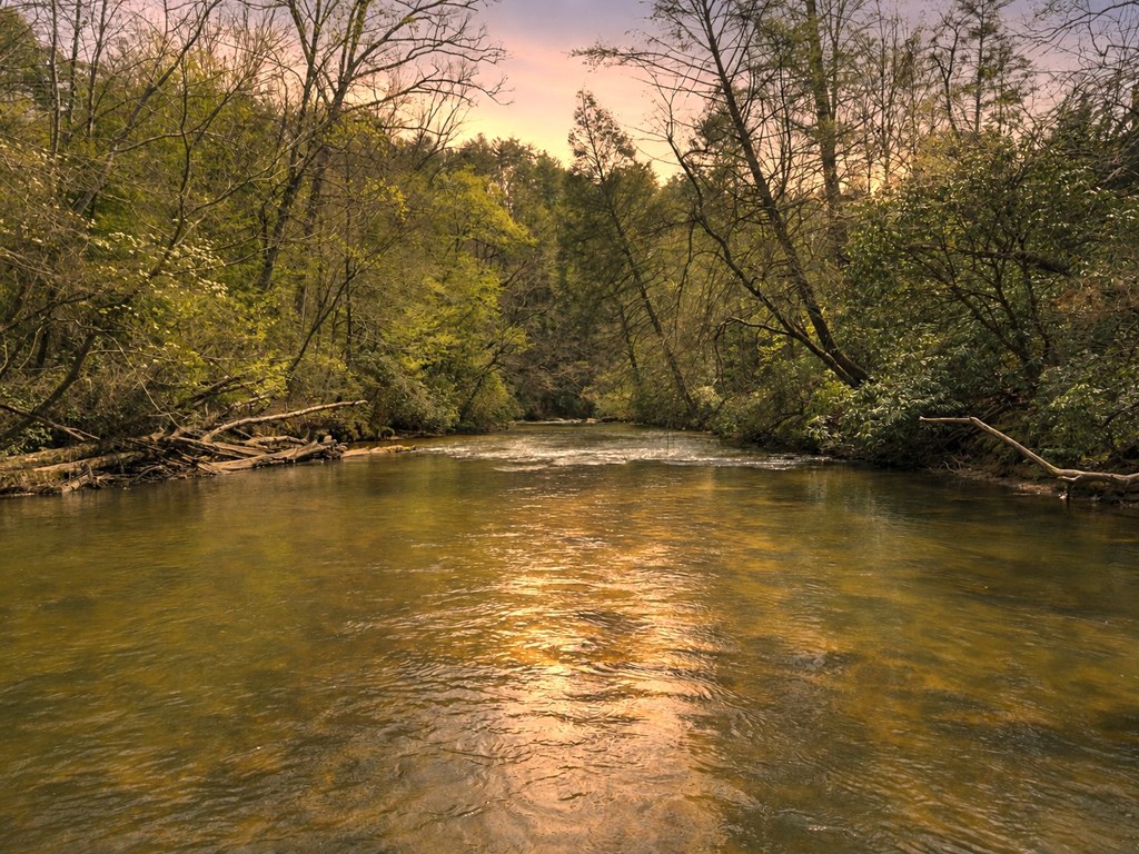 435178 Ellijay Active