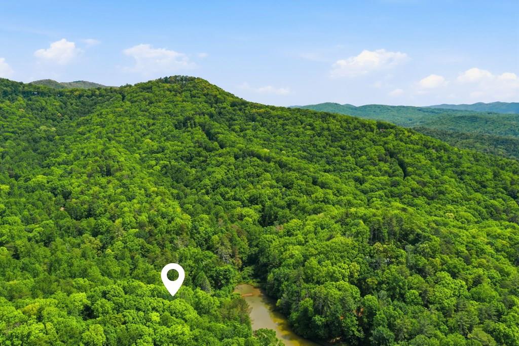435189 Ellijay Active
