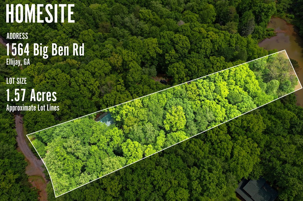 435189 Ellijay Active