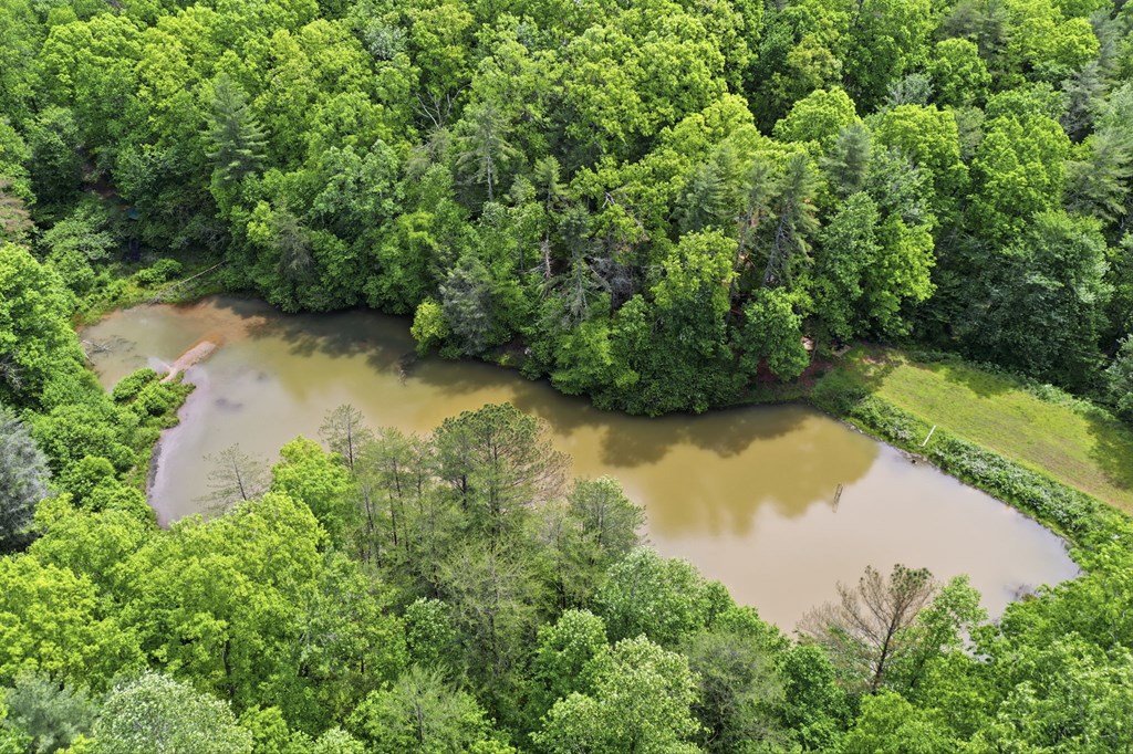 435189 Ellijay Active