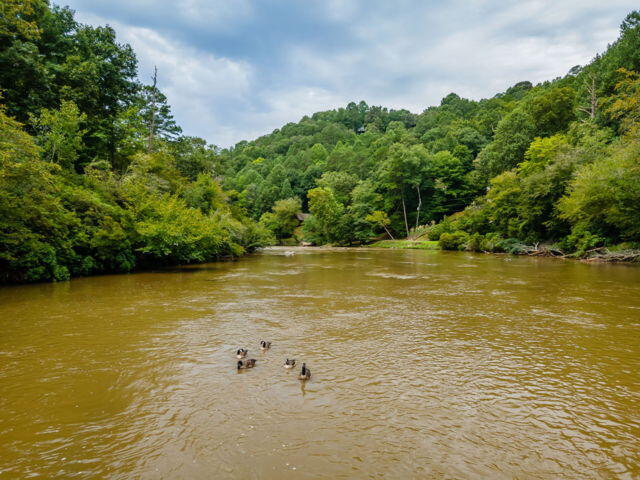 435202 Ellijay Active
