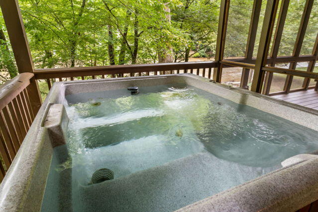 435202 Ellijay Active
