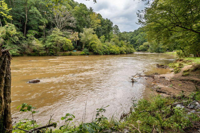 435202 Ellijay Active