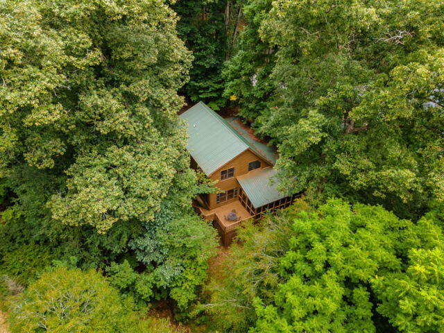 435202 Ellijay Active