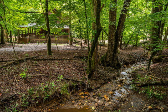 435202 Ellijay Active