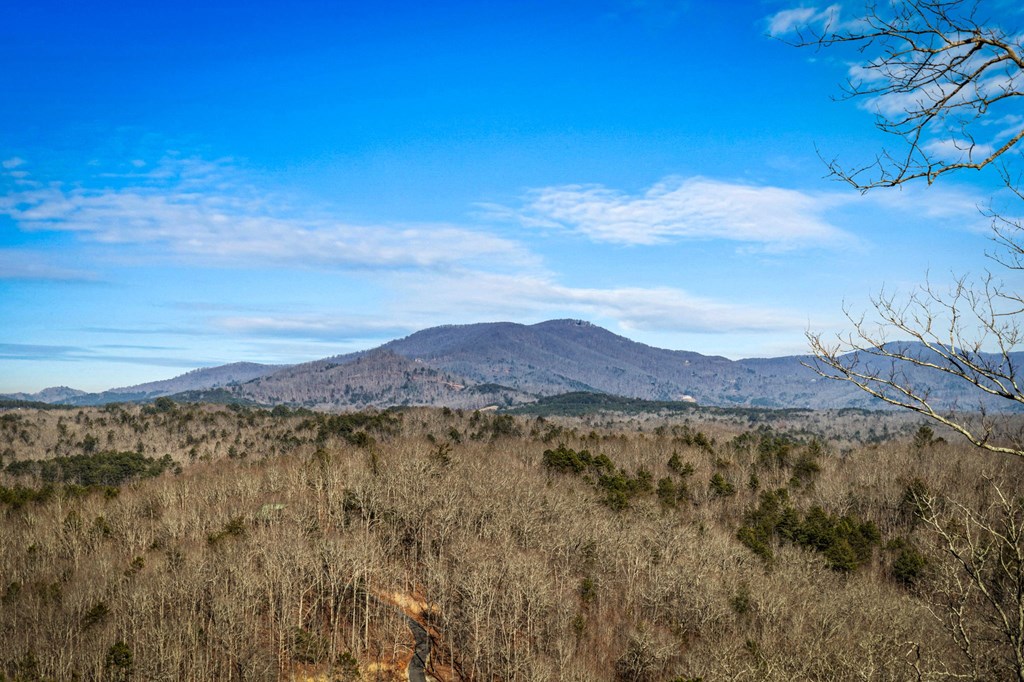 435204 Blue Ridge Active