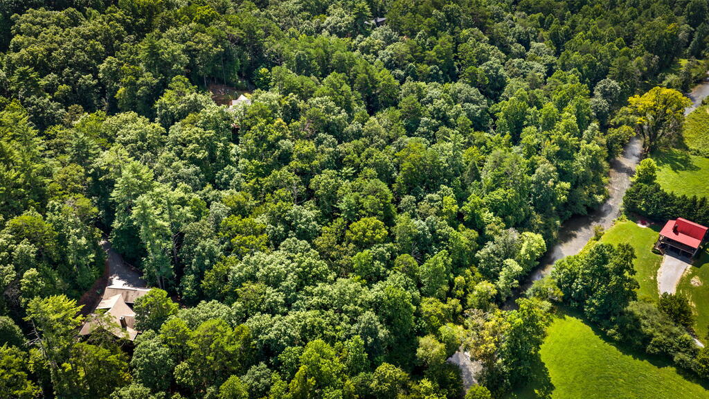 435208 Ellijay Active