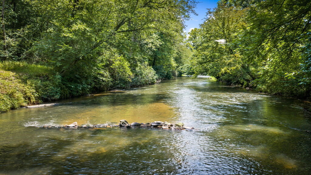435208 Ellijay Active