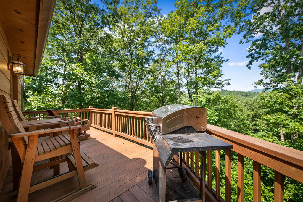 435208 Ellijay Active