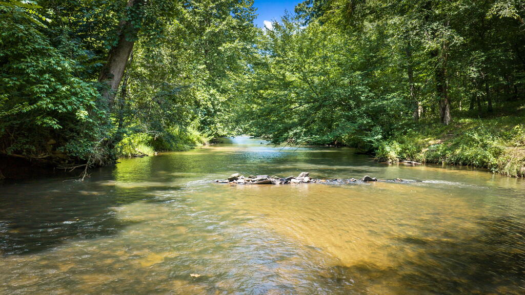 435208 Ellijay Active