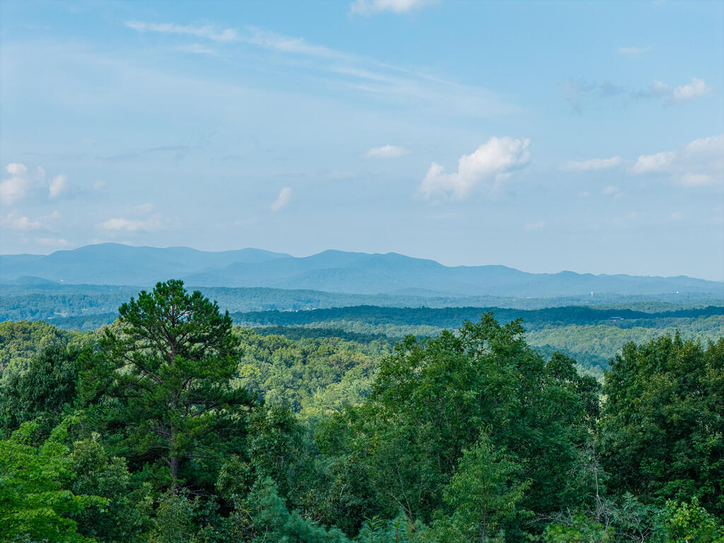 435212 Morganton Active