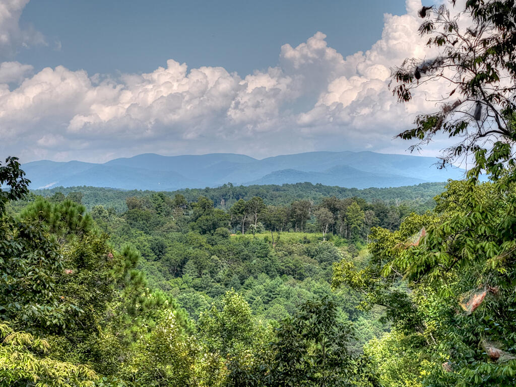 435216 Ellijay Active