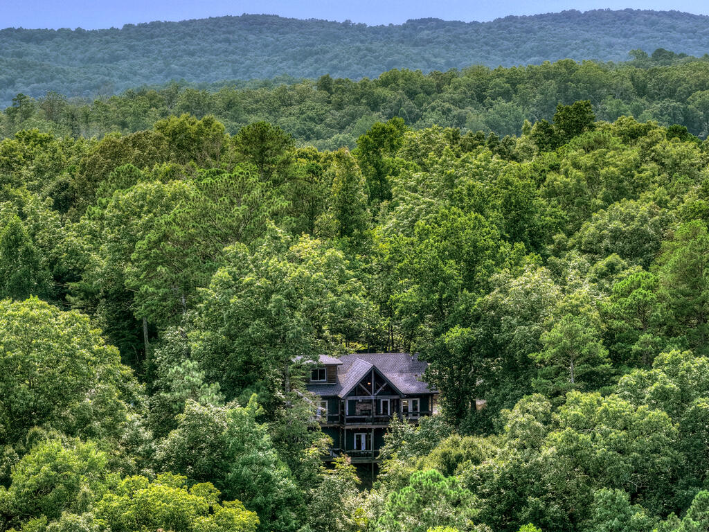 435216 Ellijay Active