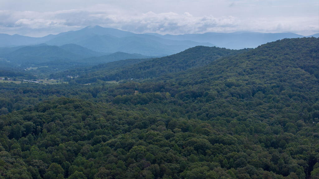 435225 Hayesville Active