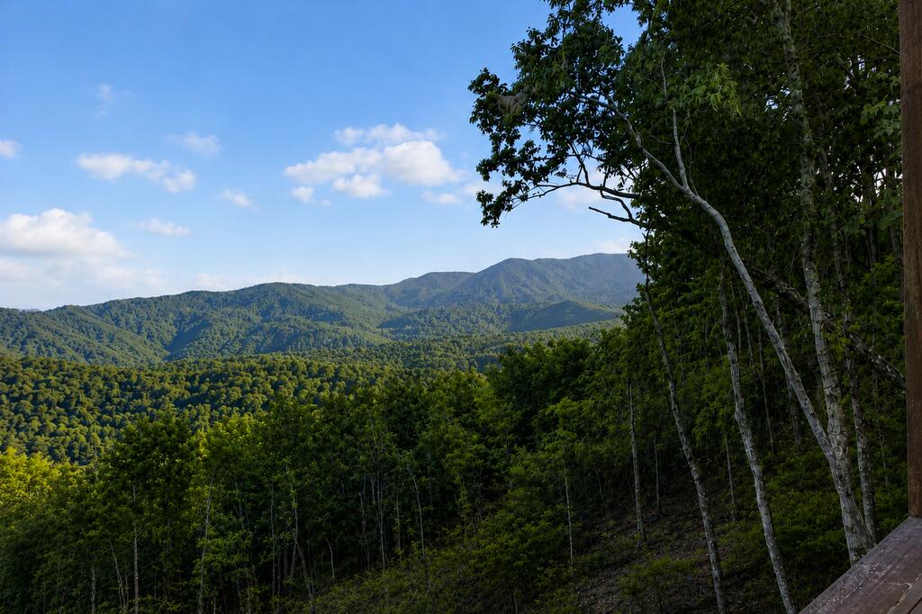 435238 Blue Ridge Active