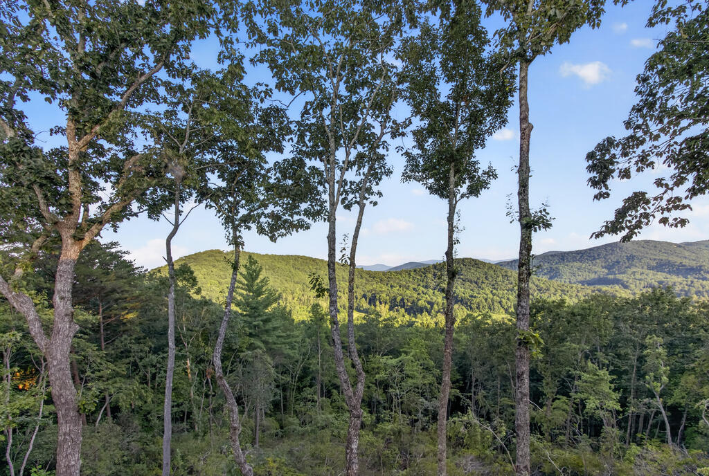 435238 Blue Ridge Active