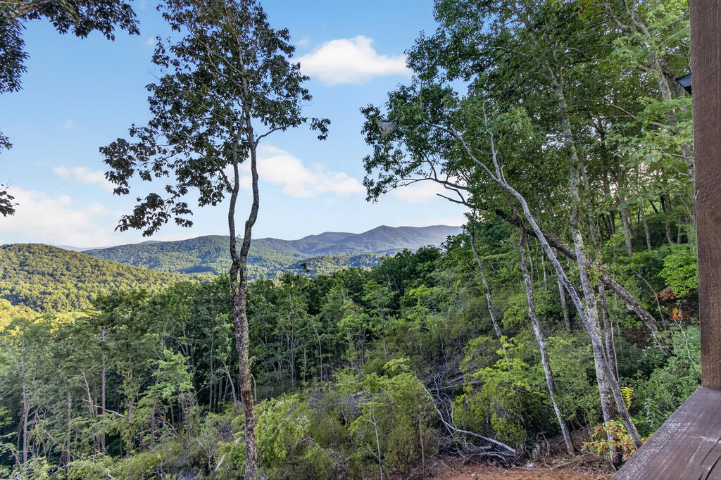 435238 Blue Ridge Active