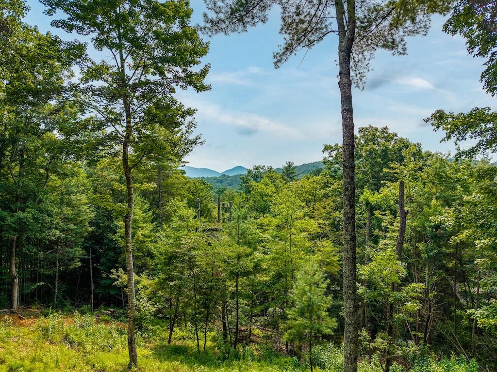 435248 Blue Ridge Active