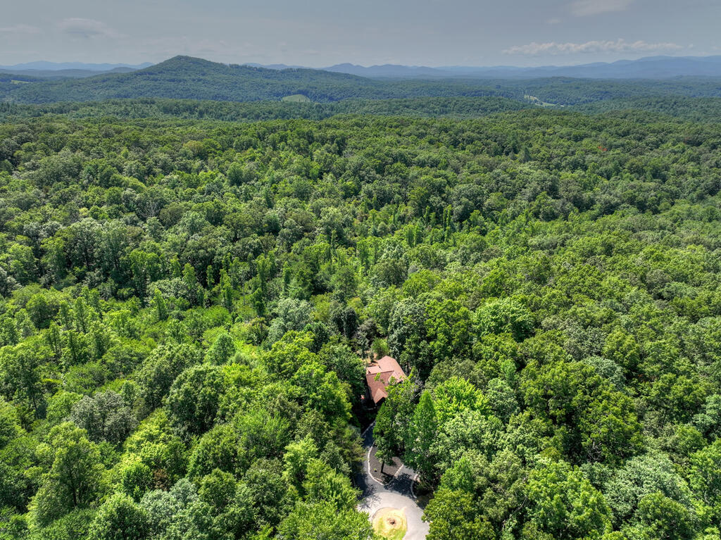 435274 Mineral Bluff Active