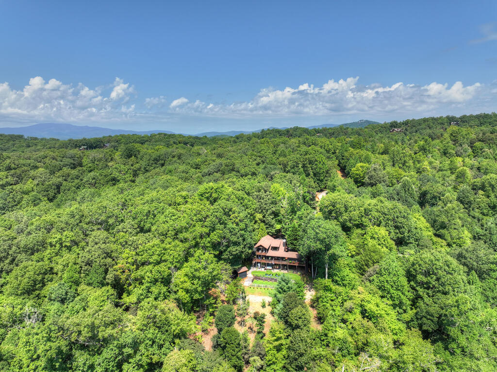 435274 Mineral Bluff Active