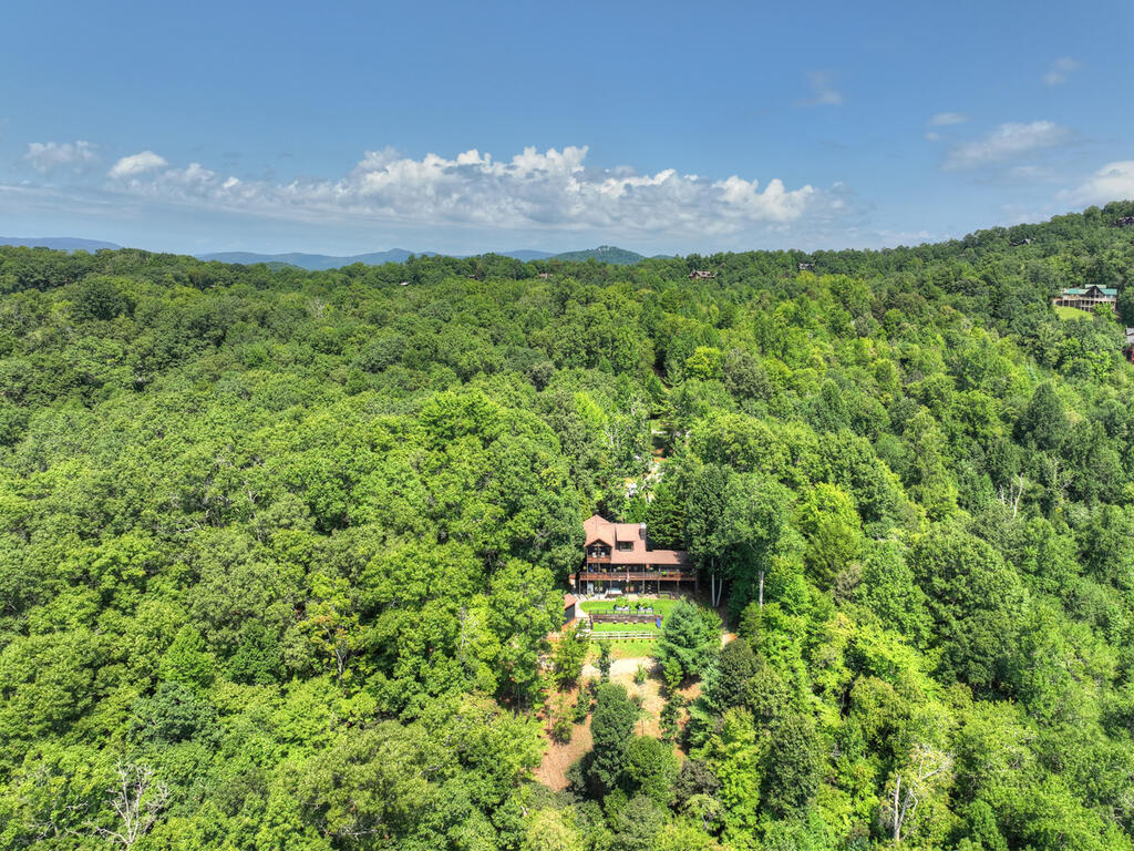 435274 Mineral Bluff Active