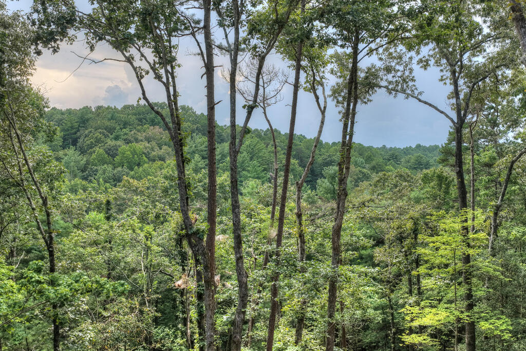 435279 Ellijay Active