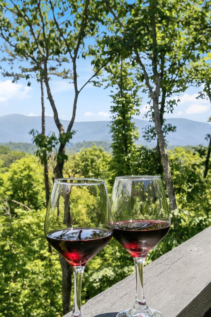 435325 Ellijay Active