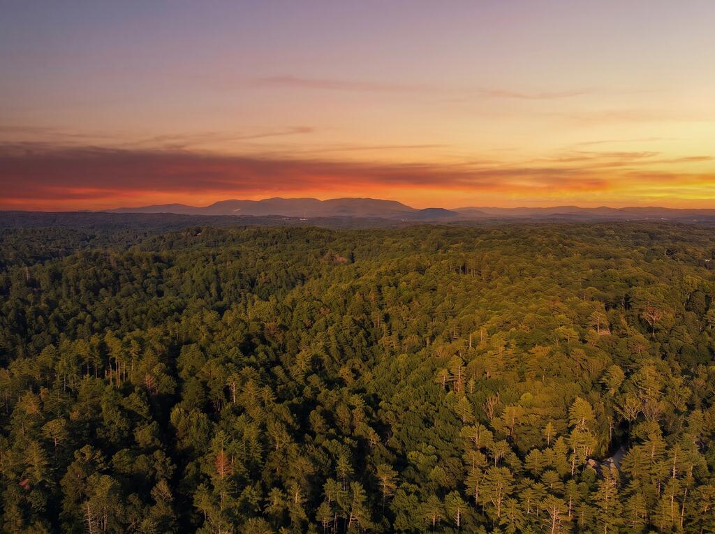 435341 Ellijay Active