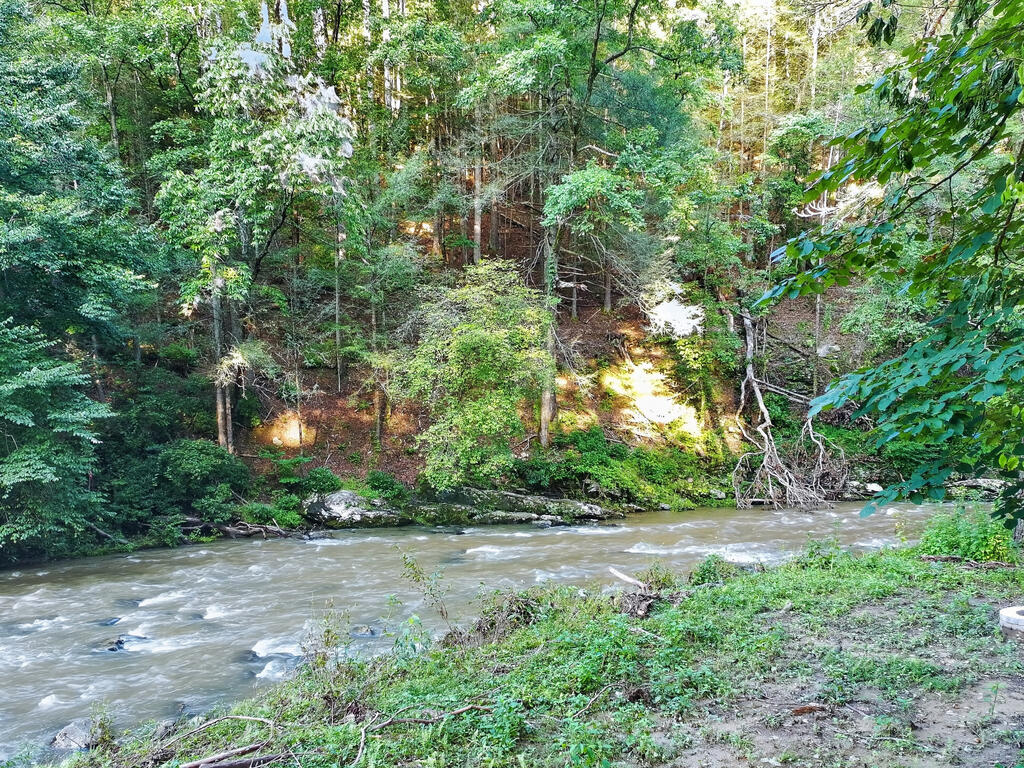 435341 Ellijay Active