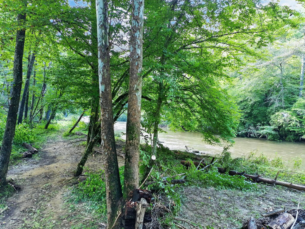 435341 Ellijay Active