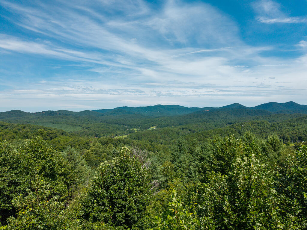 435371 Mineral Bluff Active