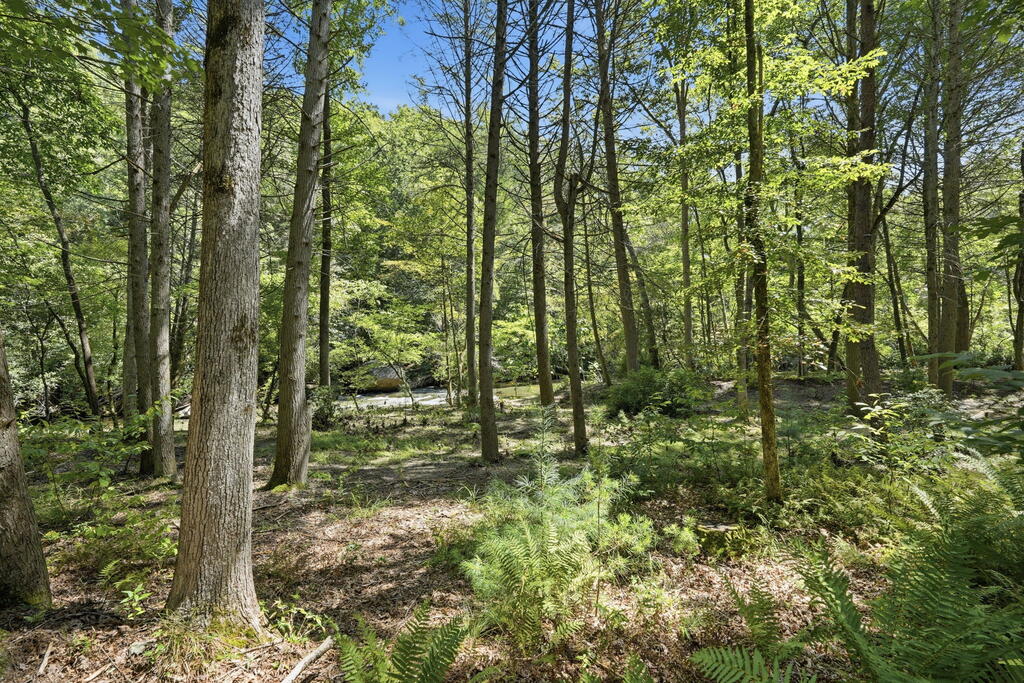435374 McCaysville Active