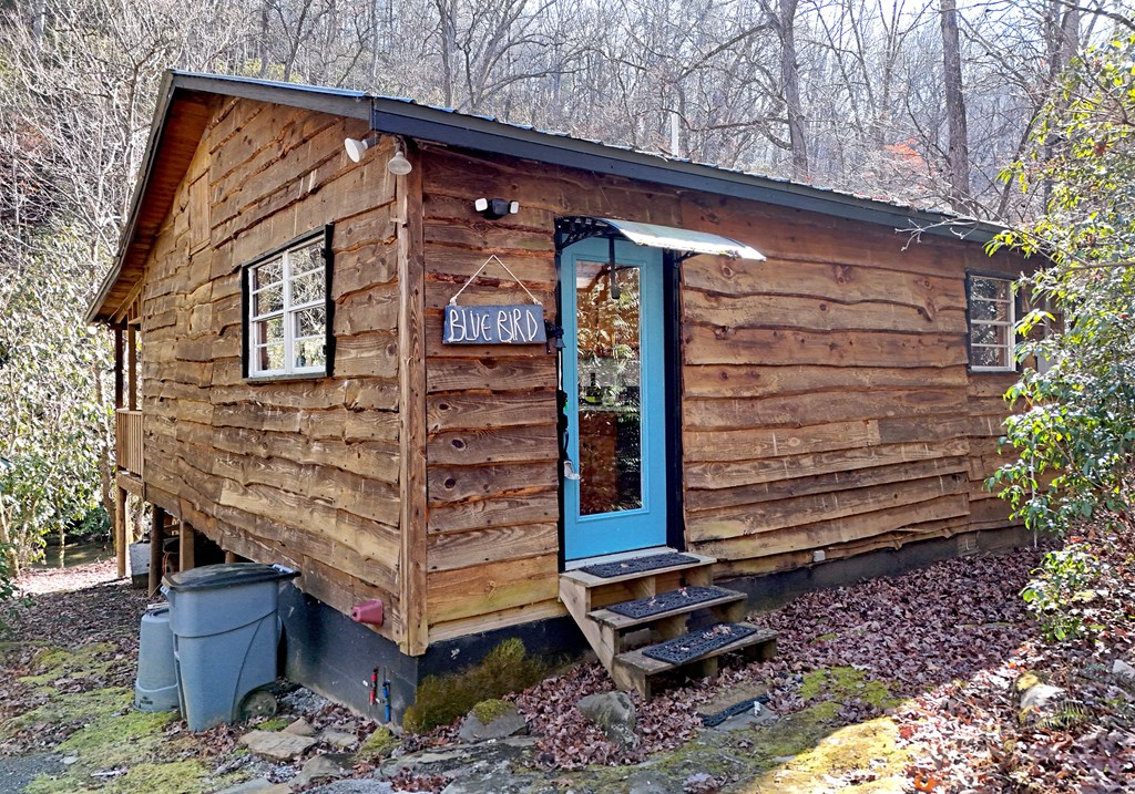 435379 Mineral Bluff Active