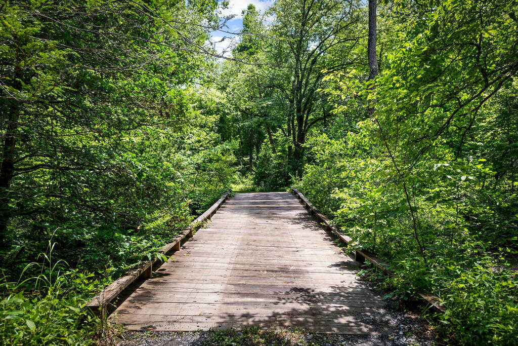 435383 Blue Ridge Active