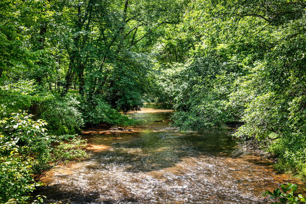 435383 Blue Ridge Active