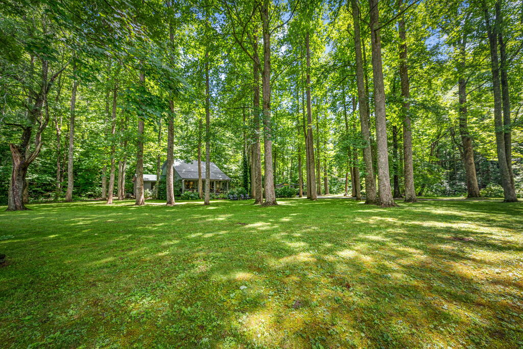 435383 Blue Ridge Active