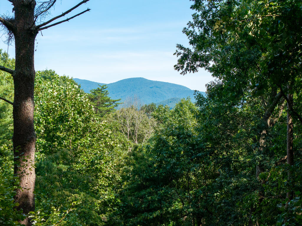 435388 Ellijay Active
