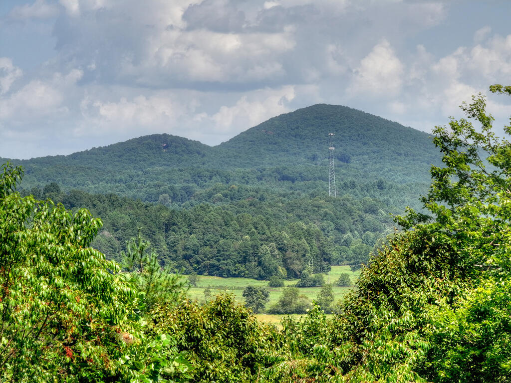 435403 Morganton Active