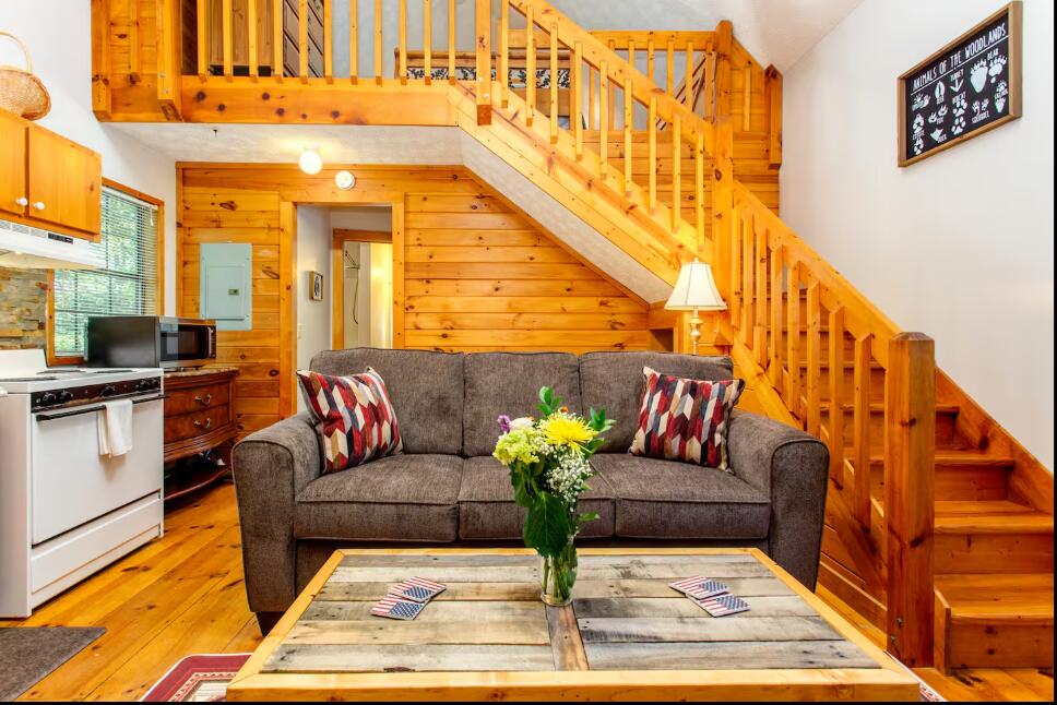 435406 Ellijay Active
