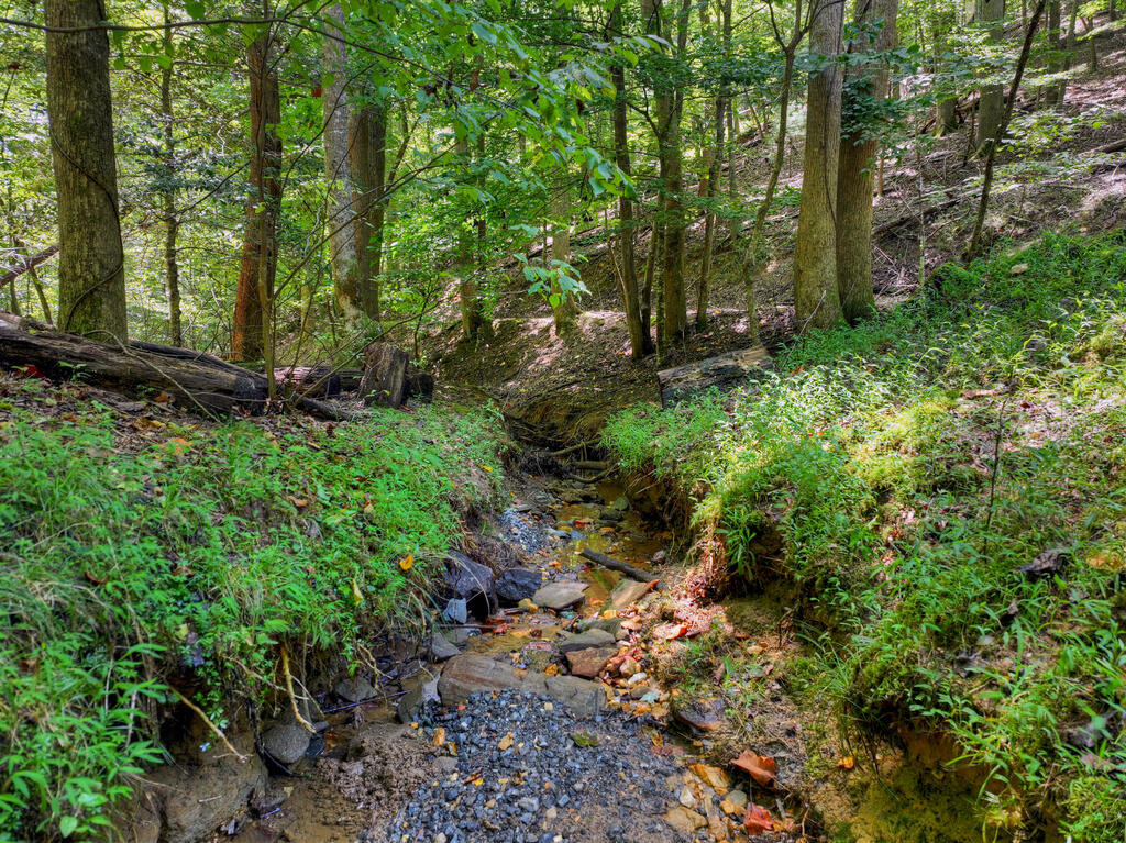435410 Ellijay Active