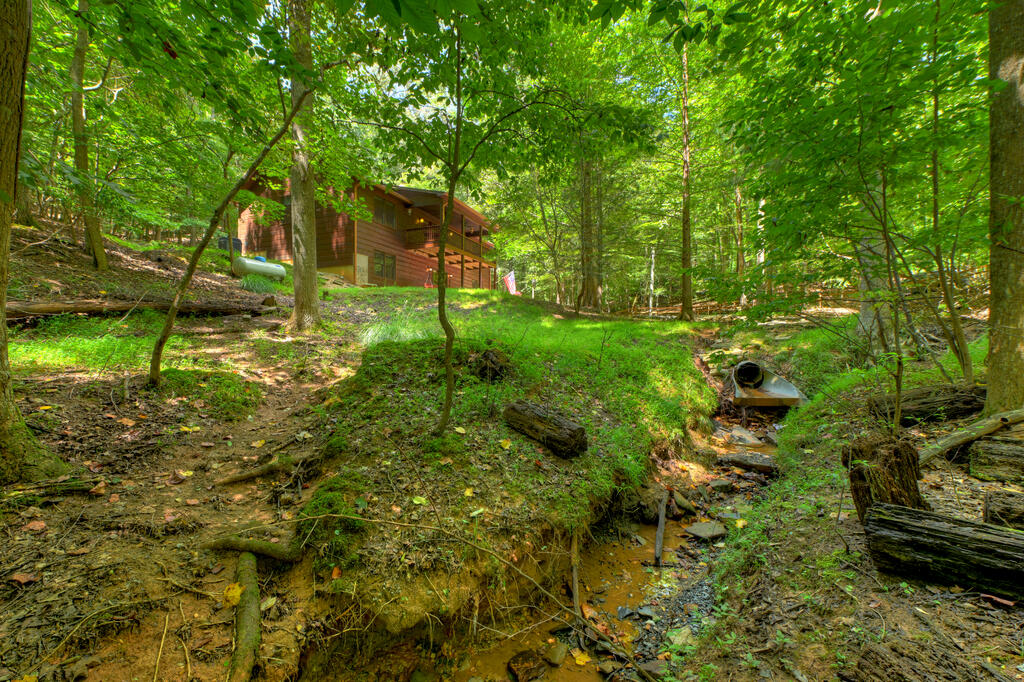 435410 Ellijay Active