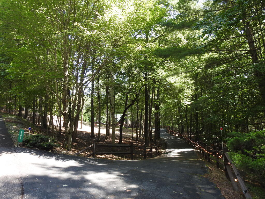 435414 Morganton Active
