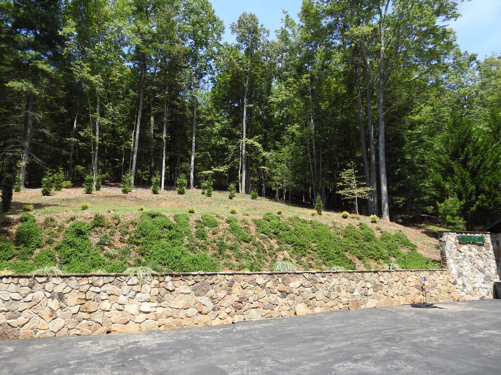 435414 Morganton Active