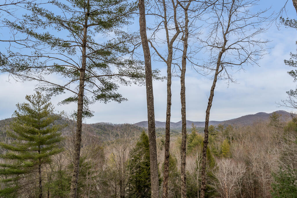435421 Blue Ridge Active