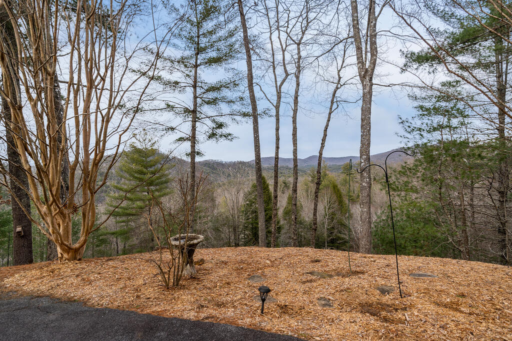 435421 Blue Ridge Active