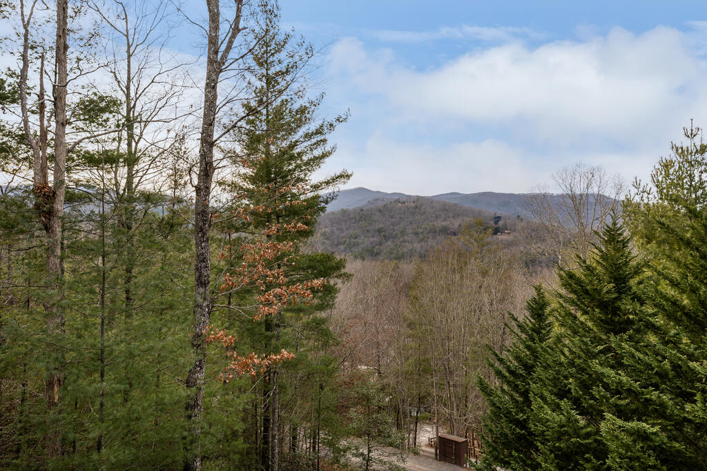 435421 Blue Ridge Active