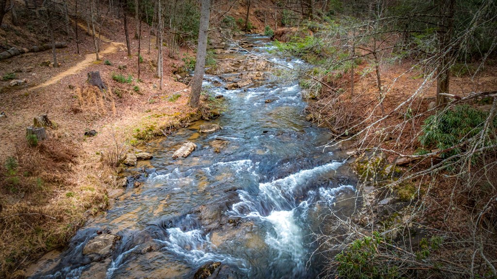 435430 Blue Ridge Active